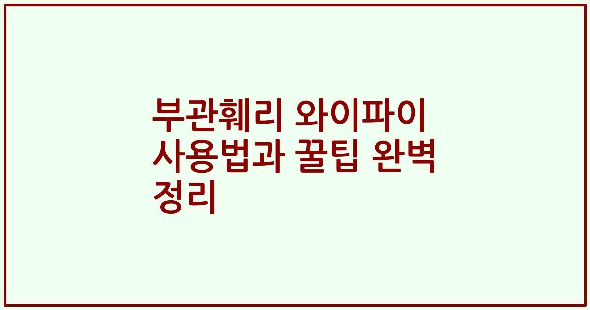 부관훼리 와이파이 사용법과 꿀팁 완벽 정리