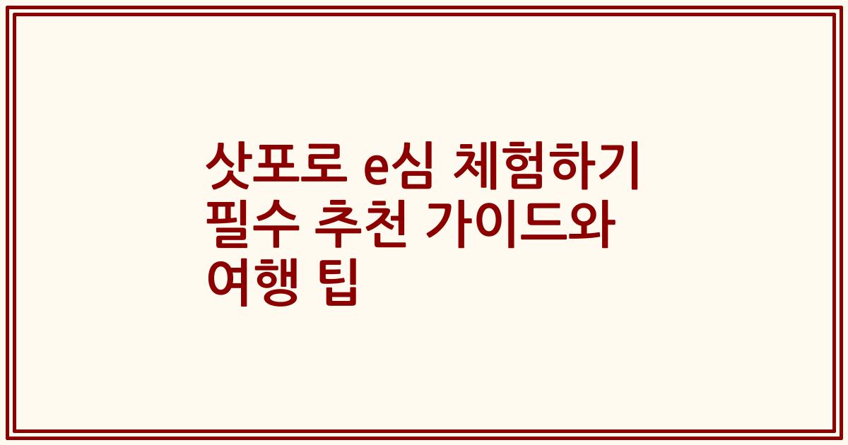 삿포로 e심 체험하기 필수 추천 가이드와 여행 팁